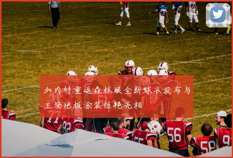 加内特重返森林狼全新球衣发布与主场地板涂装惊艳亮相