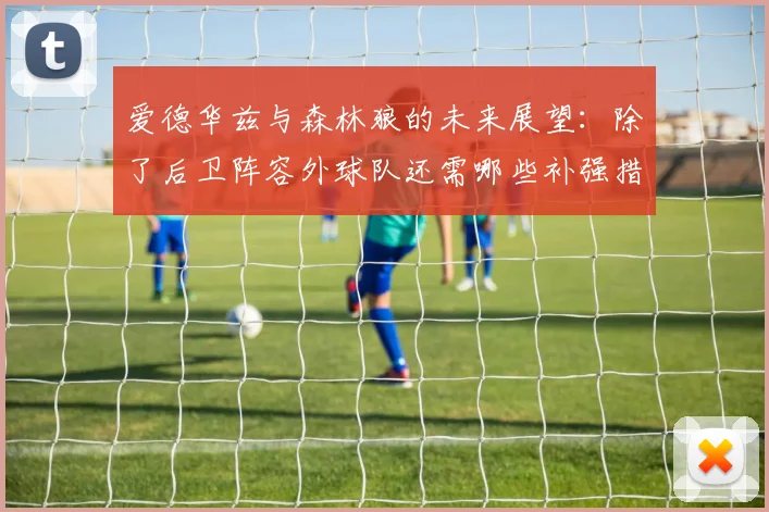 爱德华兹与森林狼的未来展望：除了后卫阵容外球队还需哪些补强措施
